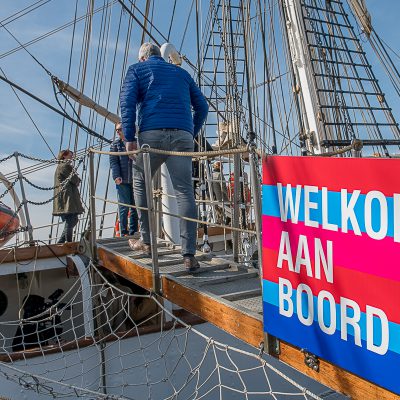 word vriend tall ships races harlingen