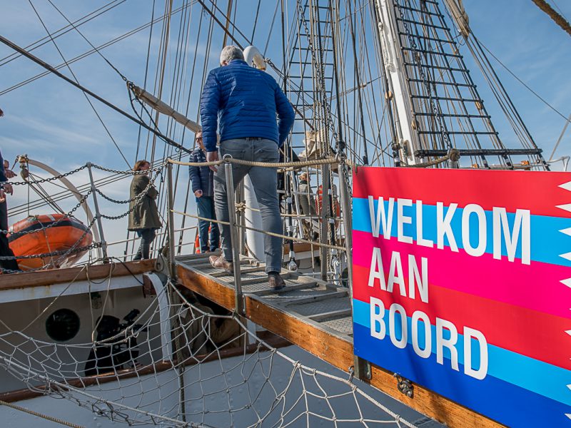 word vriend tall ships races harlingen